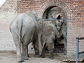 KBH zoo 190703 434